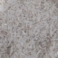 برنج فجرسوزنی