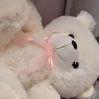 سگ پامر