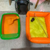 لوازم جانبی گربه