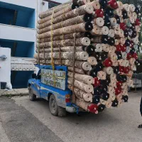 قالیشویی اتوماتیک مادر
