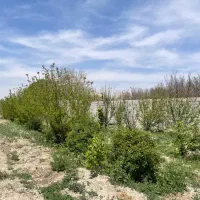 چهار-دیواری-باغی-عالی