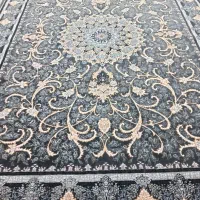 فیلی طلایی جفت ۶متر