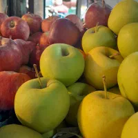 فروش سیب دماوندی به صورت کلی و جزیی