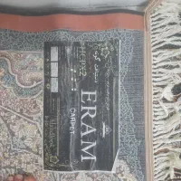 فرش ارم|فرش|کاشمر, |دیوار