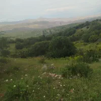 زمین
