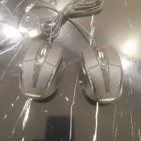 دو عدد موس گرین اصل