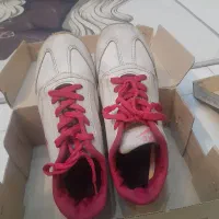 کفش زنانه و دخترانه|کیف، کفش، کمربند|رباطکریم, رباطکریم|دیوار