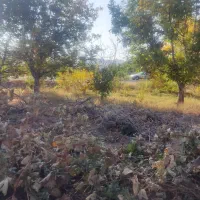 باغ انگور|فروش دفتر صنعتی، کشاورزی، تجاری|ملایر, |دیوار