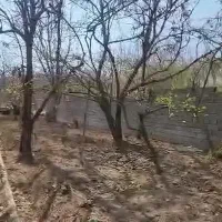 باغچه میوه معاوضه با آپارتمان