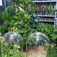 گلسرای مریم بانو بار جدید رسید۱۰درصد