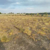 زمین-برای-باغ-یا-سرمایه-گذاری