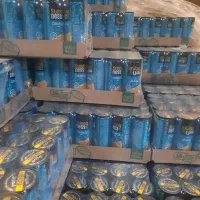 رانی سانی نس