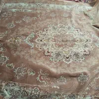 12متری
