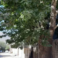 منزل مسکونی نیمه ساز کوی آبشار زمین‌ کلنگی|فروش خانه و ویلا|خرم‌آباد, |دیوار