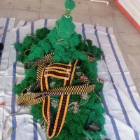 گل اوسال و جهاز شتر