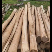 چوب فروشی و مرکز جمع آوری انواع چوب