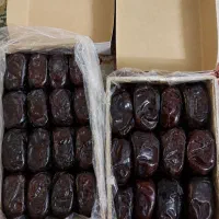 خرمای مضافتی بم