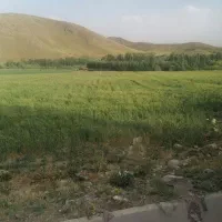 زمین گلخانه با سند و مجوز ساخت