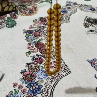 تسبیح اب حیات نباتی نادر