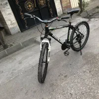 دوچرخه اورلرد