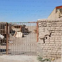 زمین-400متر-فروشی