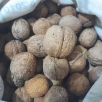 گردو|خوردنی و آشامیدنی|خلخال, |دیوار