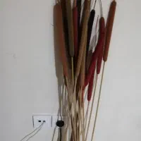تعدادی بامبو مصنوعی