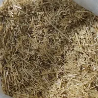 کاه گندم (کاه کوب)