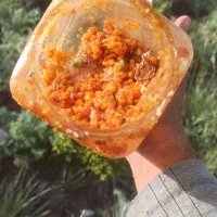 شیره باریچه (غسنی)