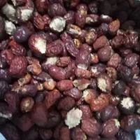 عناب بیرجند