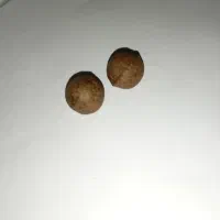 سنگ زیرخاکی|کلکسیون اشیاء عتیقه|اردبیل, |دیوار