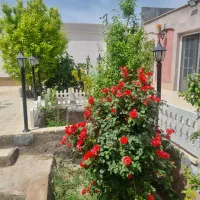 اجاره-خونه-باغ