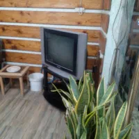 تلویزیون 29اینج سامسونگ قدیمی با زیر تلویزیون|تلویزیون و پروژکتور|چابکسر, |دیوار