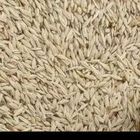 معاوظه جو با ارد کیار
