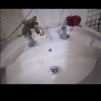 راهنمایی مایع همه کاره بودیت|فعالیت داوطلبانه|قم, دورشهر|دیوار