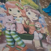 گلیم آشپزخانه و اتاق خواب