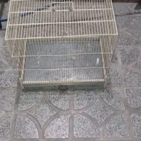 قفس|لوازم جانبی حیوانات|کرمانشاه, |دیوار
