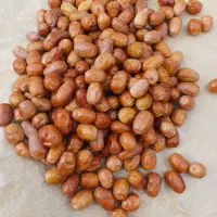 سنجد|خوردنی و آشامیدنی|تبریز, |دیوار