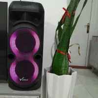 اسپیکر نو وانمکس