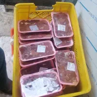 جگرسمین شمال ۴۰۰گرم قیمت۴۵عمده جزئی|خوردنی و آشامیدنی|قم, شهرک فاطمیه|دیوار