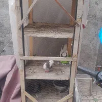 جفت کن ۳ طبقه