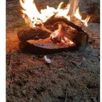 هم فکریو همکاری