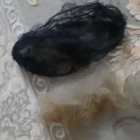 اتوموباراباس.وکس|آرایشی، بهداشتی، درمانی|مشهد, پنجتن|دیوار