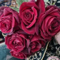 گمشده زنجیر و پلاک