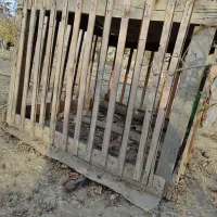 قفس لاری|لوازم جانبی حیوانات|گمیشان, |دیوار