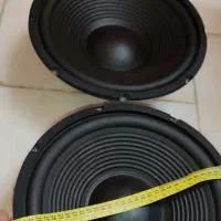 باند ووفر 10 اینچ / 12 اینچ|سیستم صوتی خانگی|رباطکریم, رباطکریم|دیوار