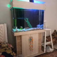 فروش آکواریوم شیشه خم شرکتی کمدداروتاج دار آغازشد