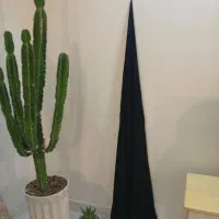 چادر مدل ساده   به قد ۱۶۵جنس حریر|لباس|شهریار, کهنز|دیوار