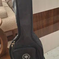 کیف گیتار