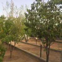 فروش باغ شهری خالداباد|فروش خانه و ویلا|شیراز, سعدیه جنوبی|دیوار